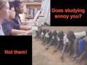 does studying annoy you?
