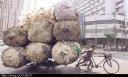 If you think you suffer in life, do you suffer as much as he does?
